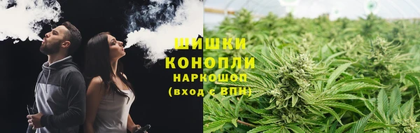 гашик Богданович