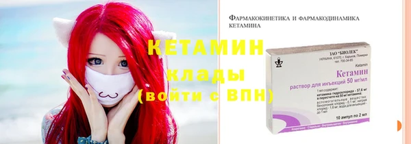 гашик Богданович