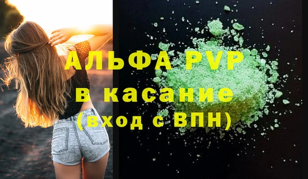 гашик Богданович