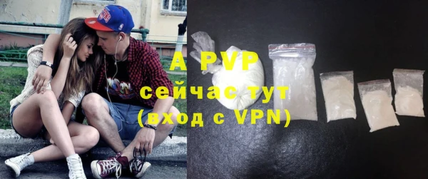 гашик Богданович