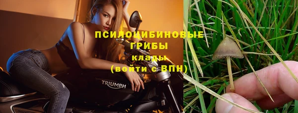 первитин Богородицк