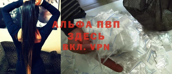 гашик Богданович
