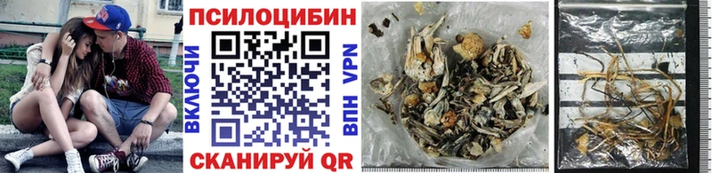 Псилоцибиновые грибы Psilocybe  Нефтеюганск 